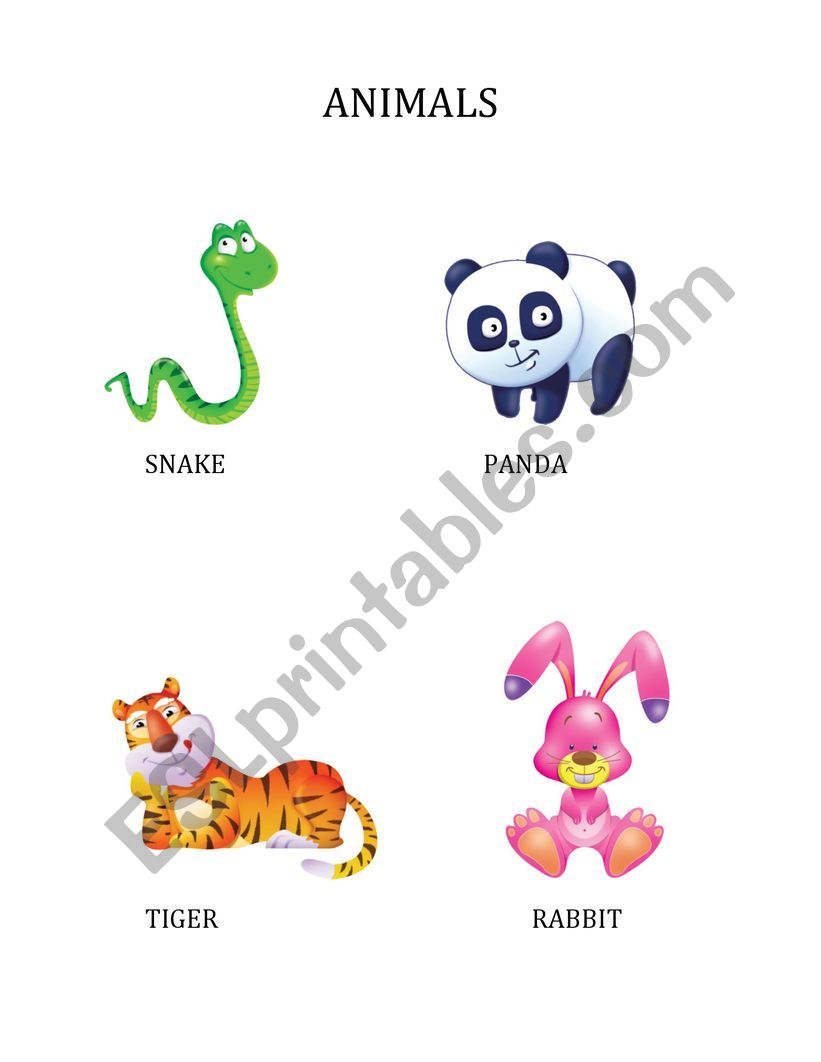 animals worksheet