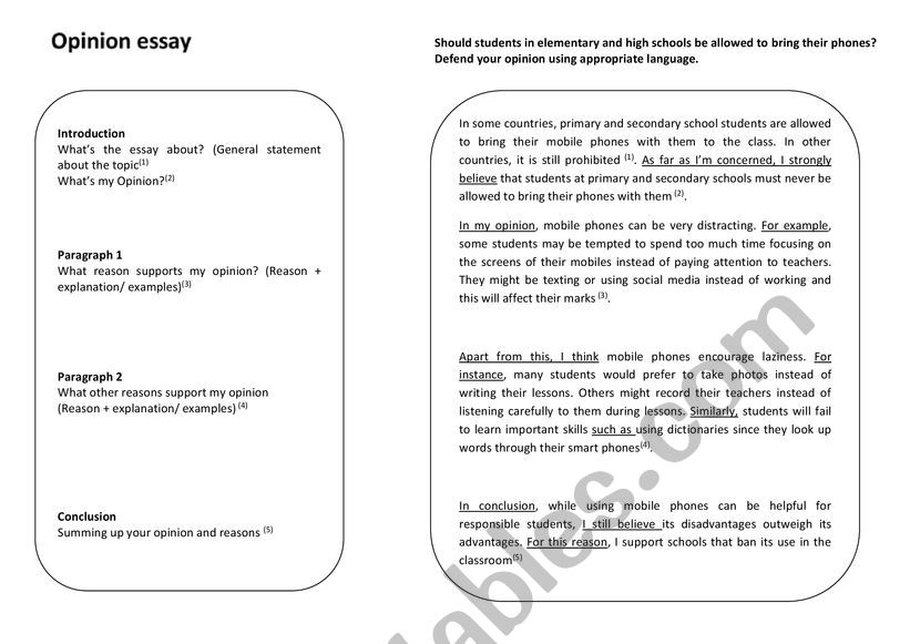structure for opinion essay