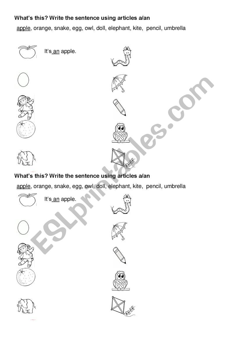 article a/an worksheet