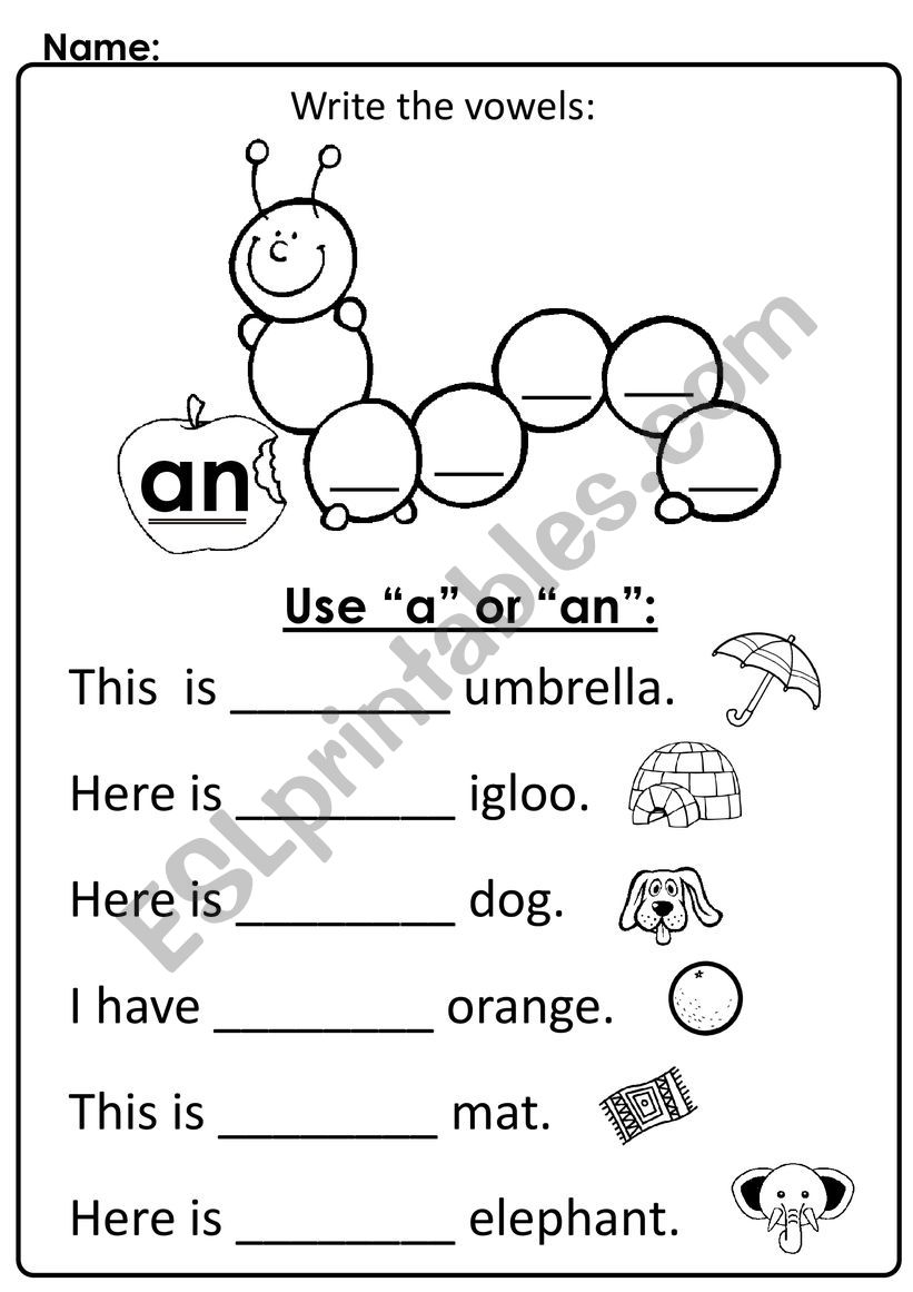use a or an worksheet