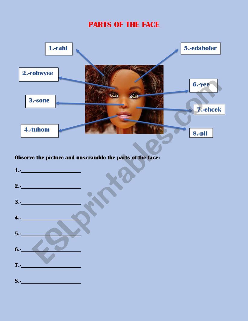 PARTS OF THE FACE worksheet