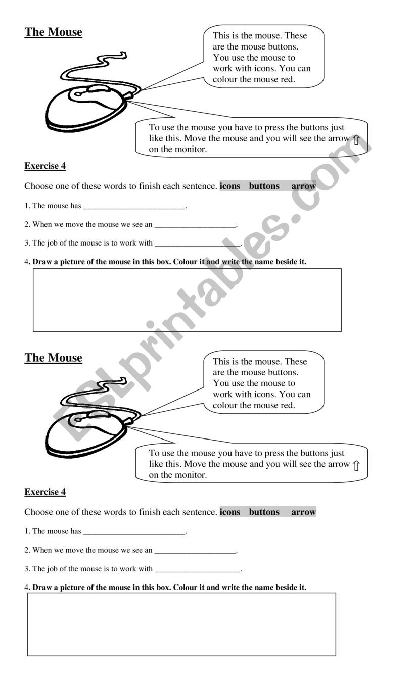 The Computer Mouse worksheet