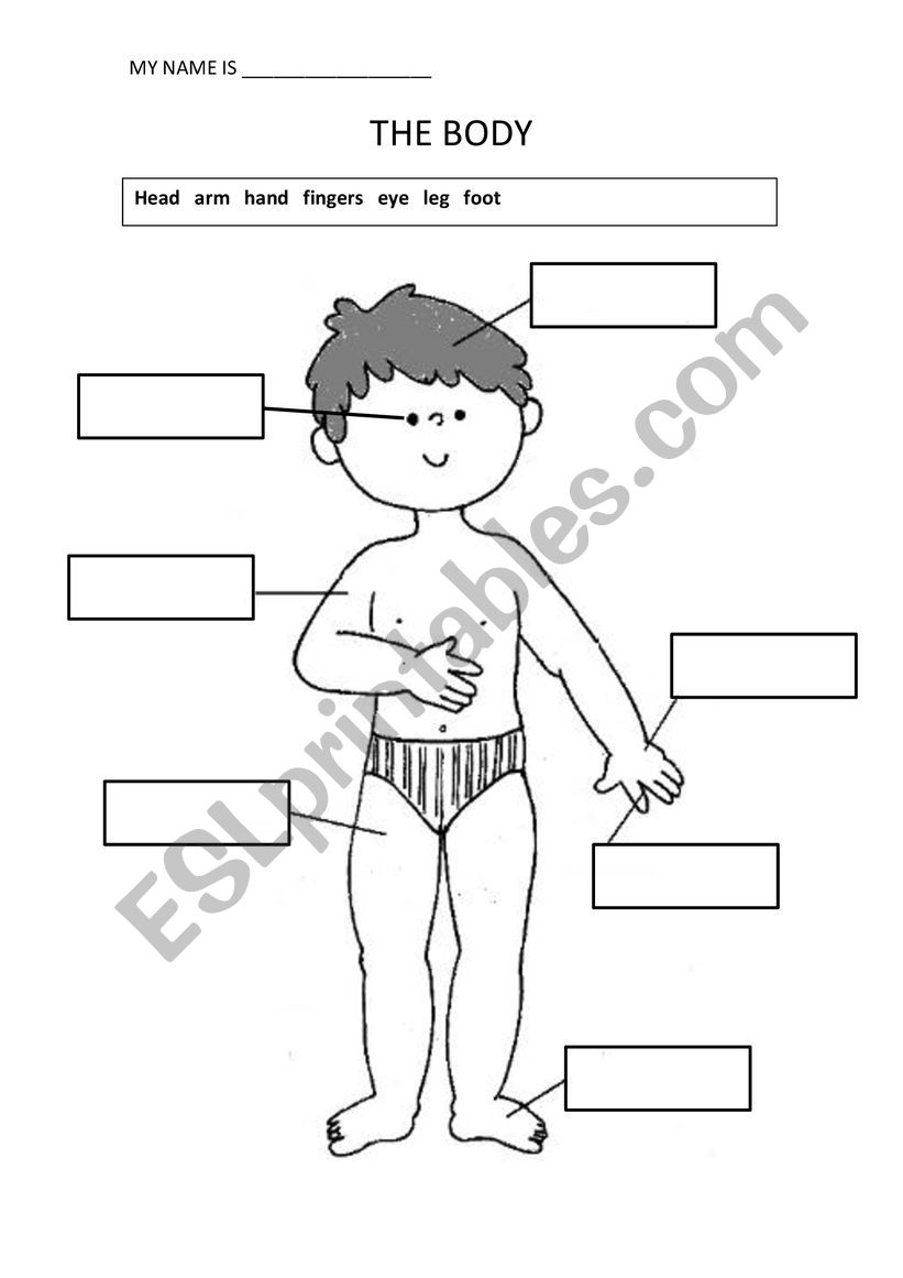 body parts for teens - ESL worksheet by jaquec25