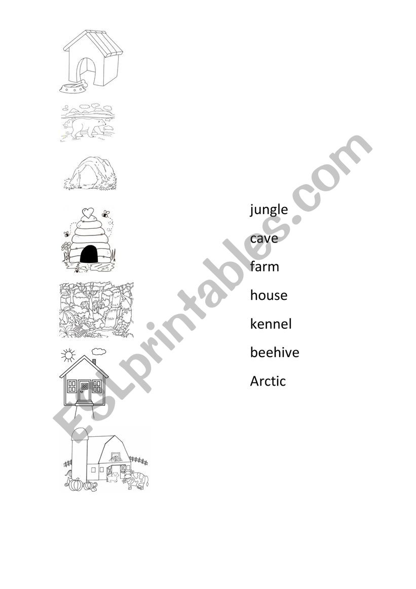 Animals and their homes worksheet