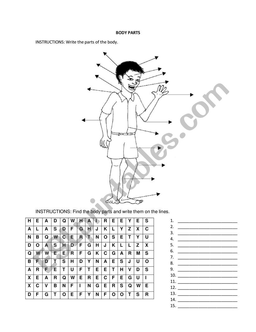 BODYPARTS worksheet