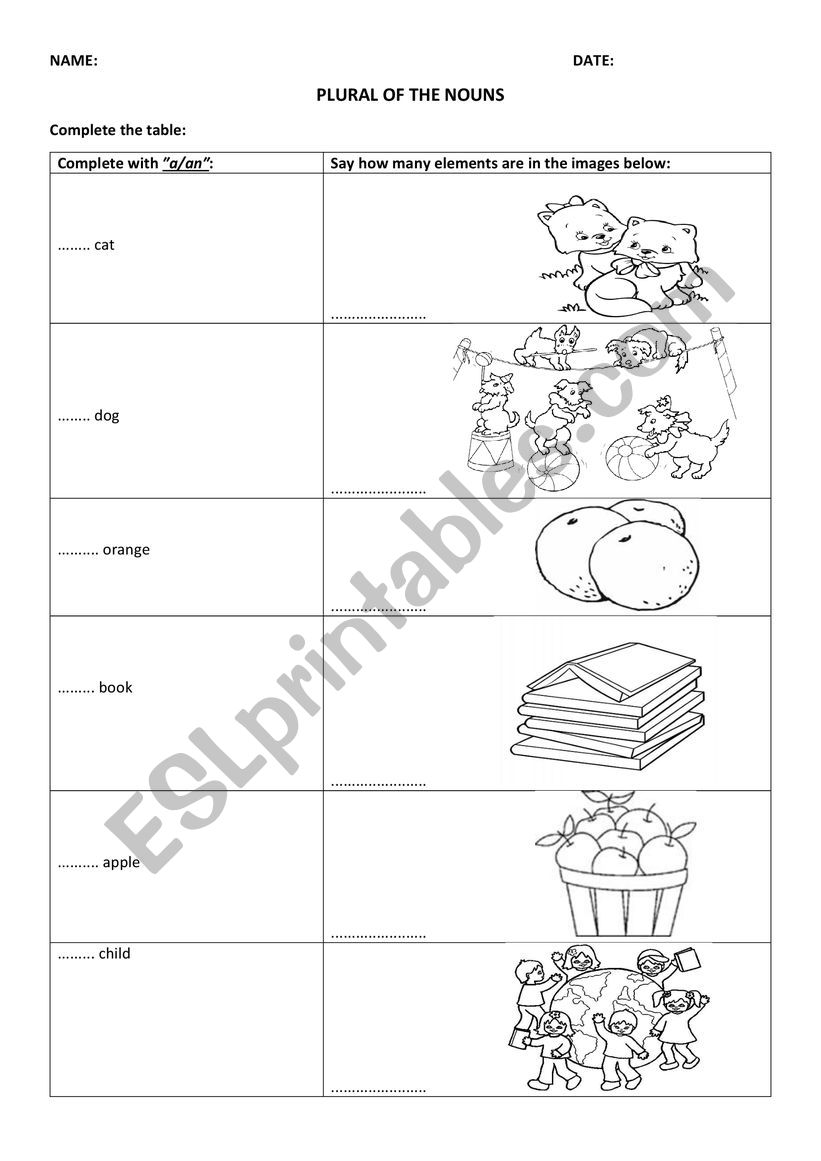 Plural of nouns worksheet