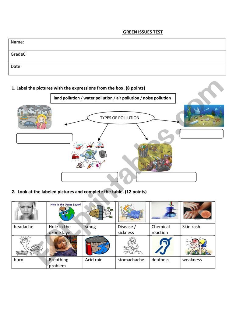 Green Issues Test worksheet