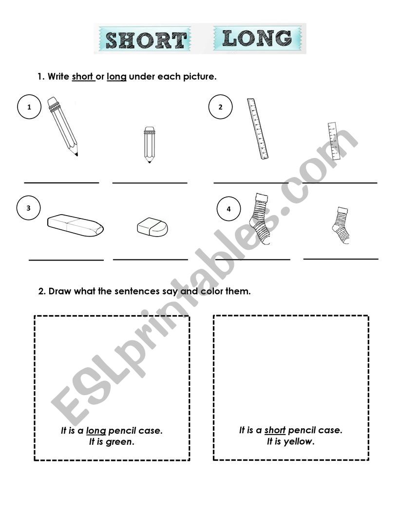 Short and long worksheet