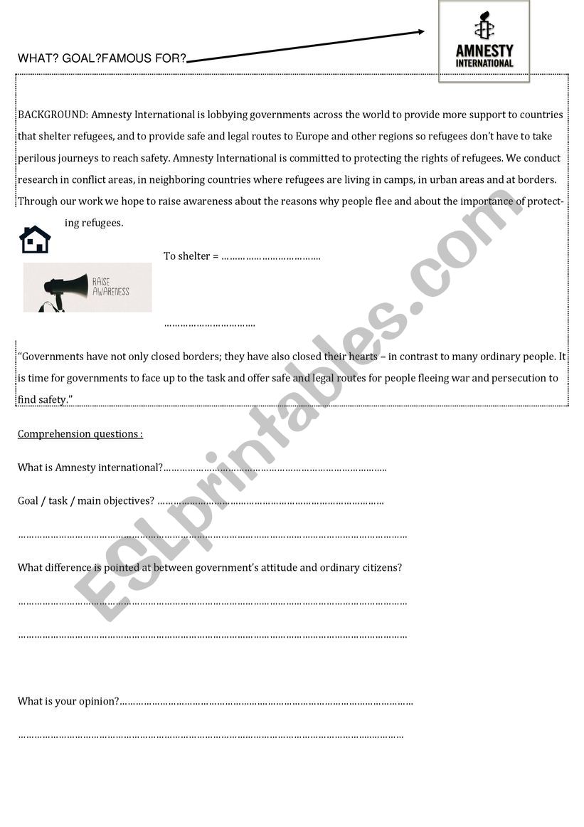 AMNESTY INTERNATIONAL worksheet