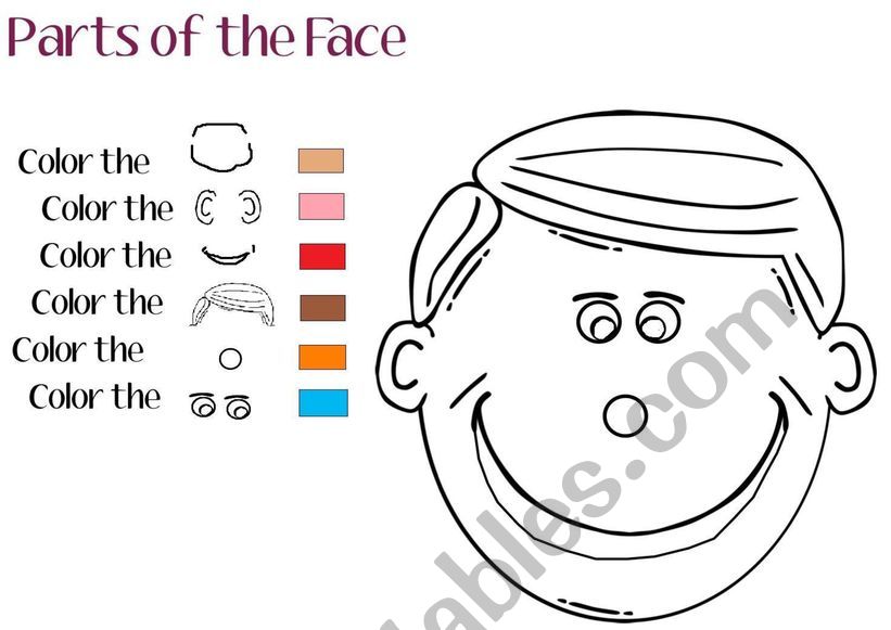 Colour the face following the commands