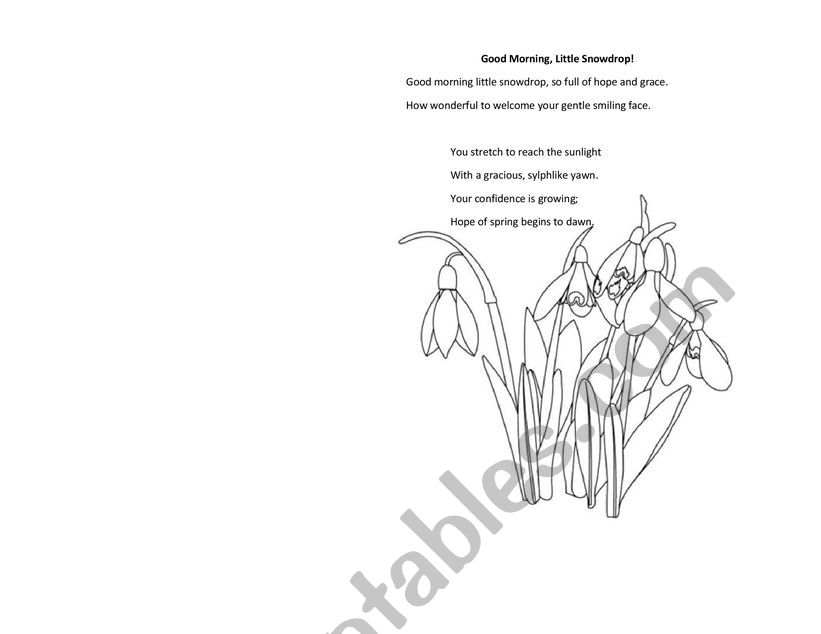 Spring Flowers Coloring Book worksheet