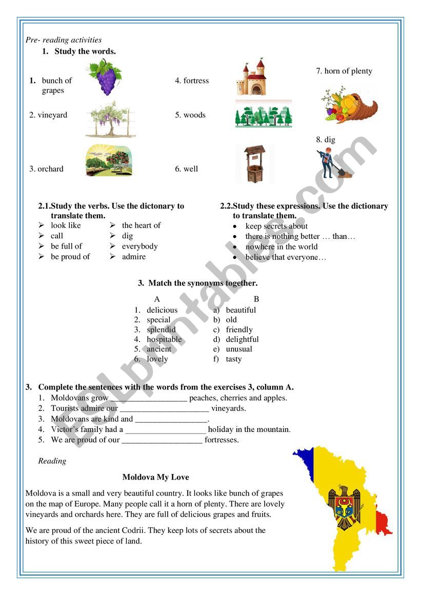 Dictionary Dig Worksheets Teaching Resources Tpt