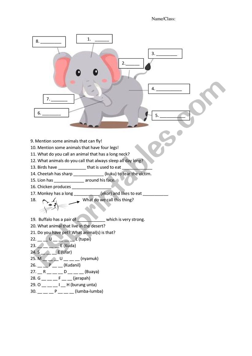 Animal Worksheet worksheet