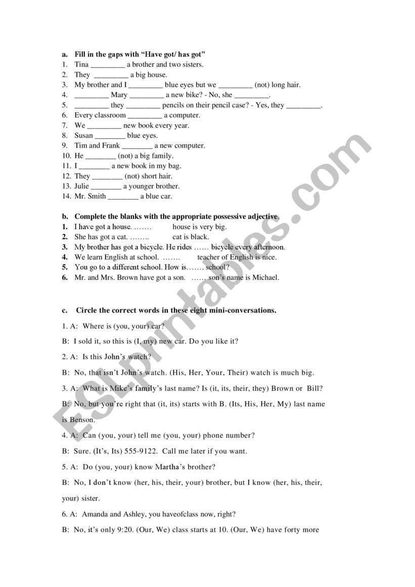 have/has got & possessive adjectives worksheet