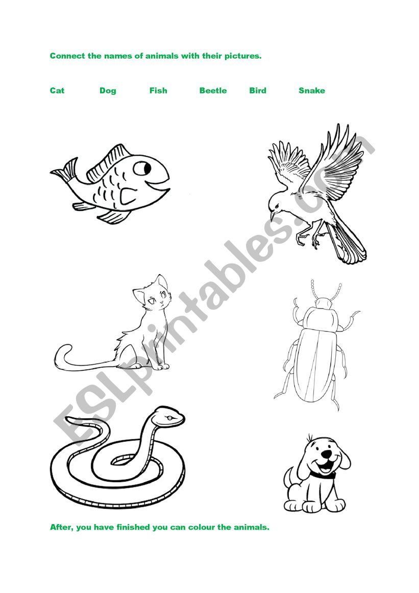 Animals colouring worksheet