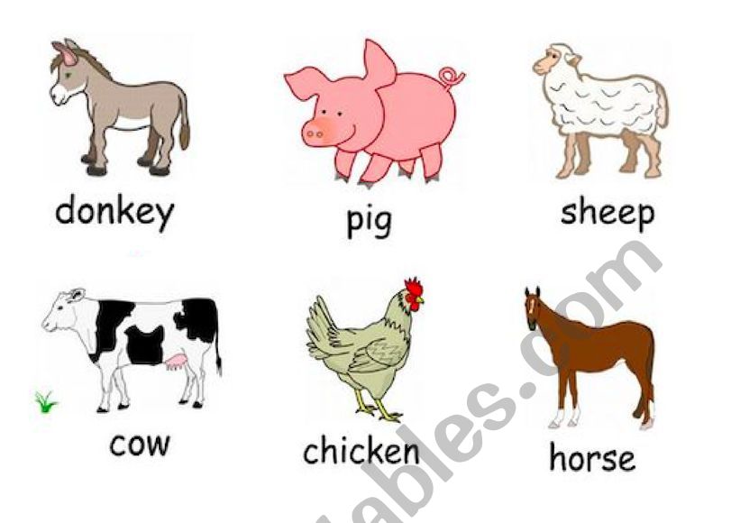 Animals - ESL worksheet by kirostar