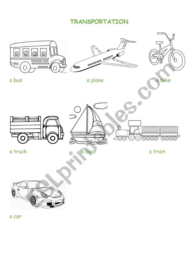 Transportation worksheet