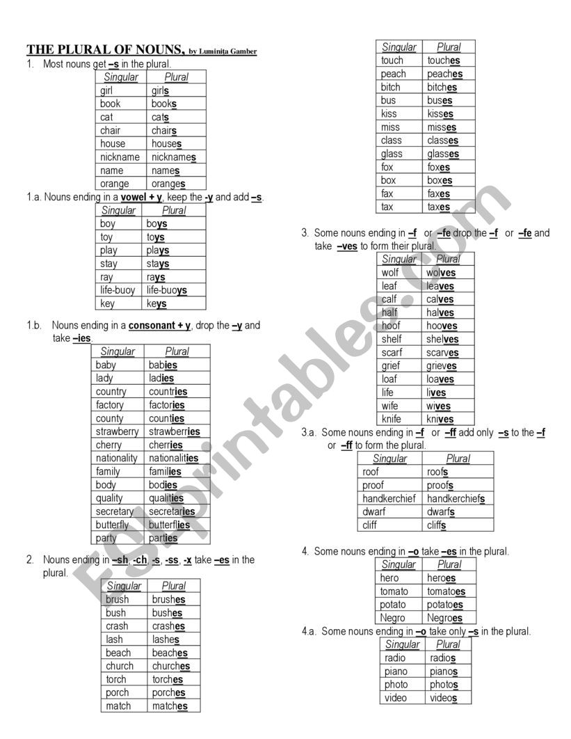 The Plural of Nouns_Rules worksheet