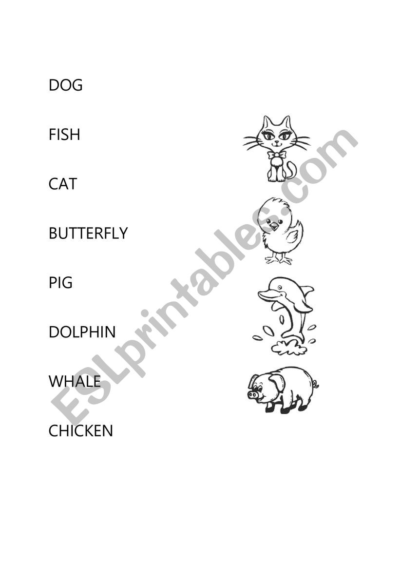 ANIMALS worksheet