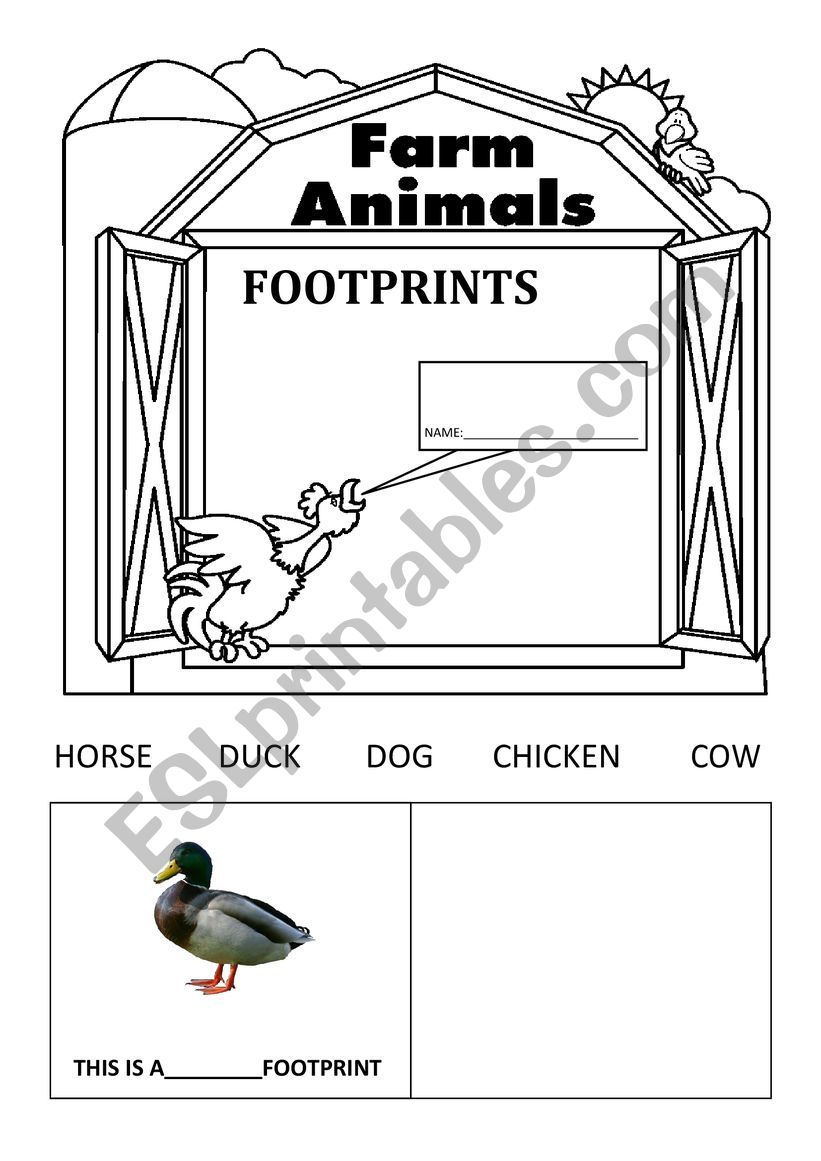 farm-animals-footprints-esl-worksheet-by-silviasola