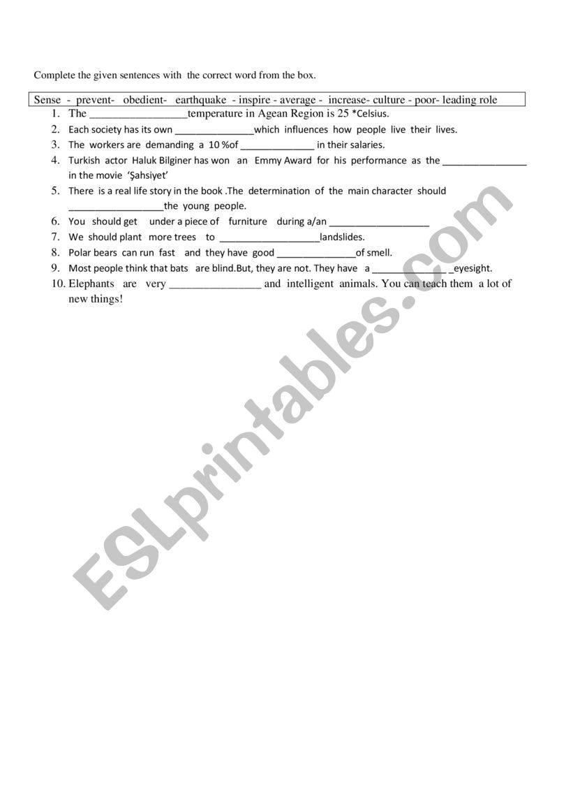 vocabulary  worksheet