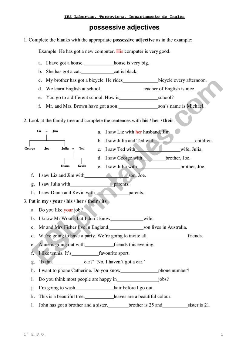 Possessive Adjectives wkst worksheet