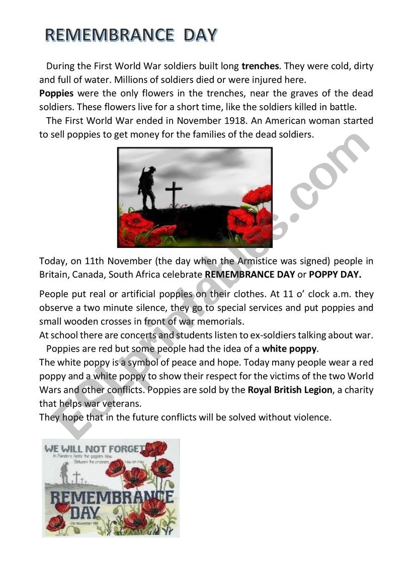 Poppy Day - reading comprehension