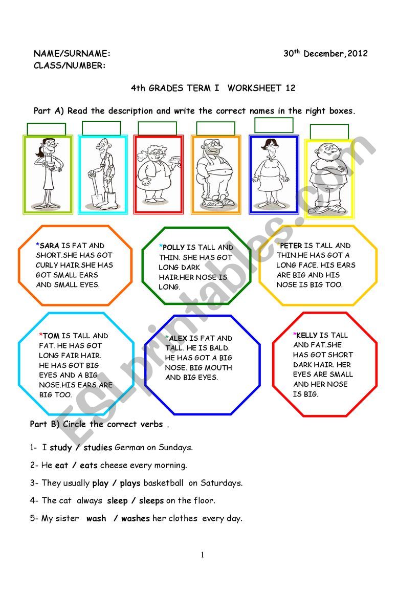 reading and grammar worksheet