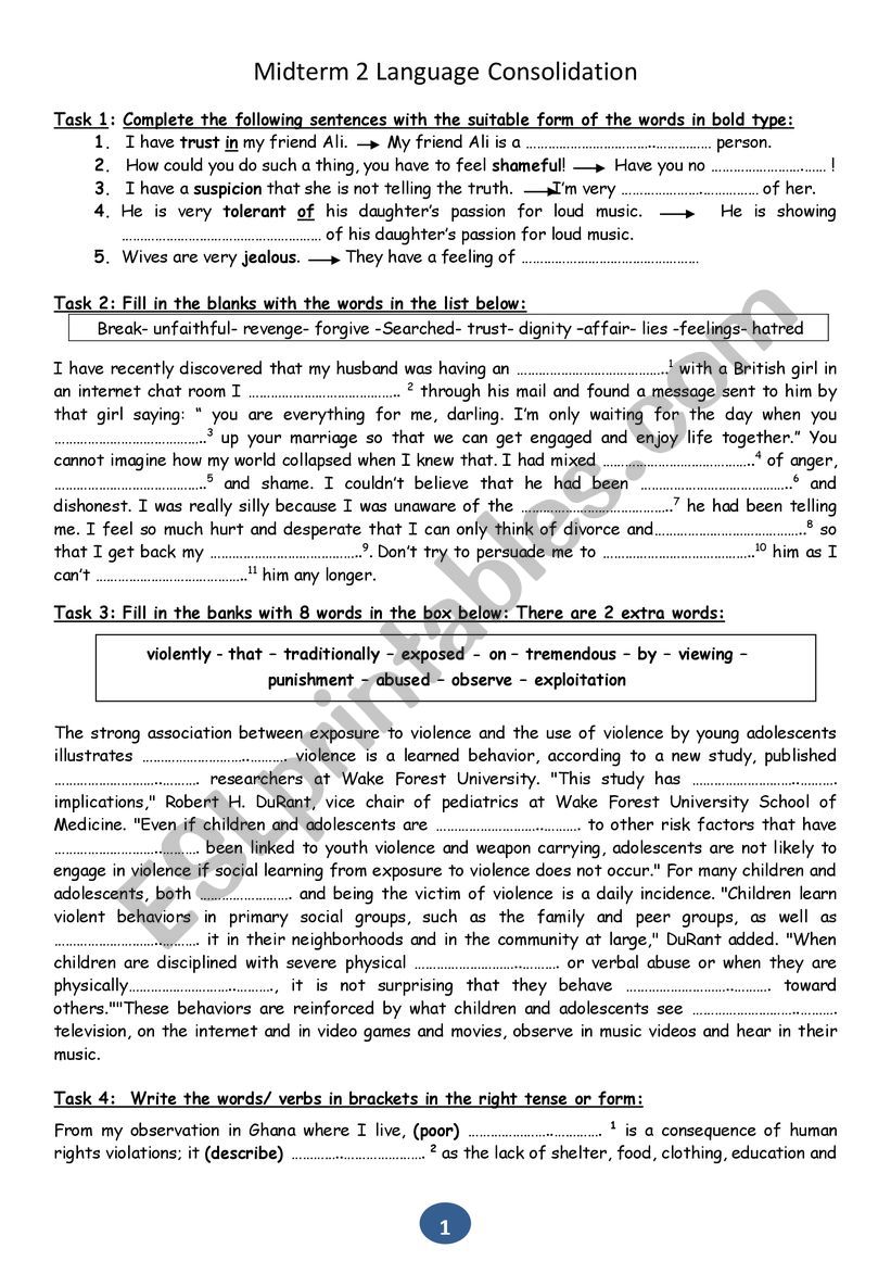 Language Consolidation worksheet