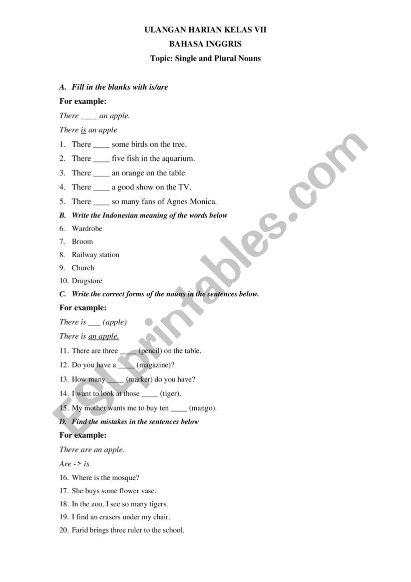 excersie for NOUN worksheet