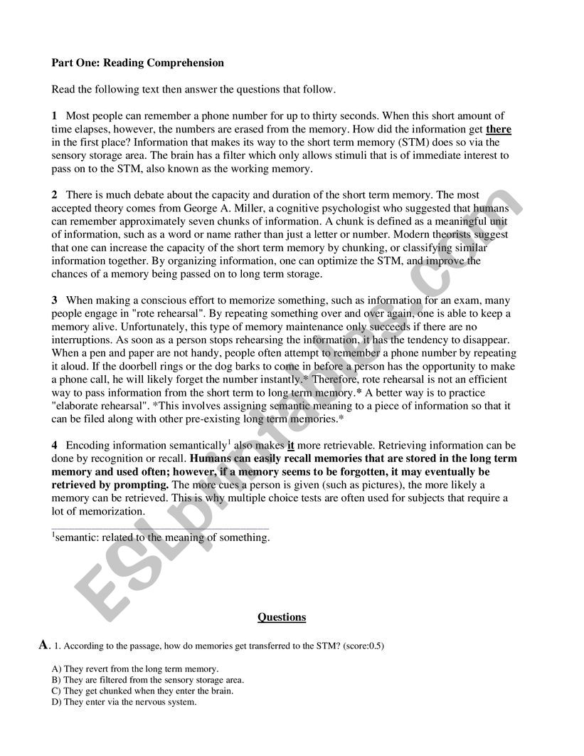 women in business worksheet