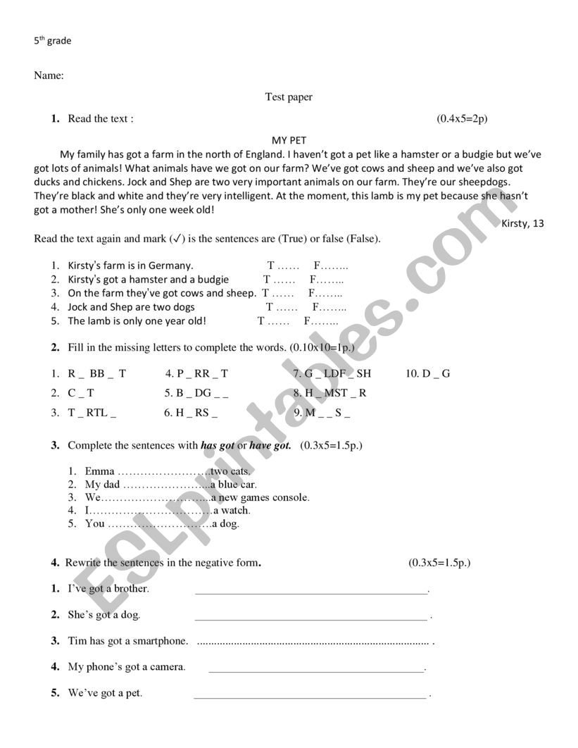 Test paper 5th grade worksheet