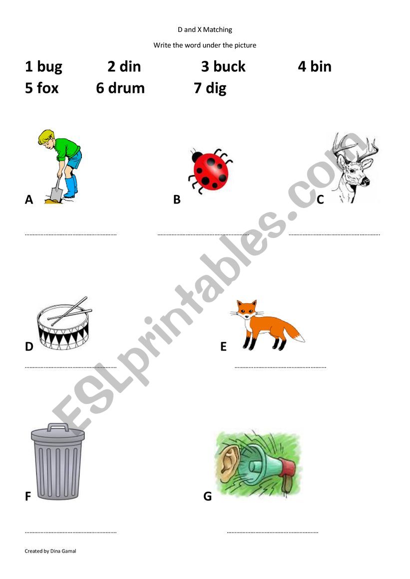 Letter D and X words worksheet