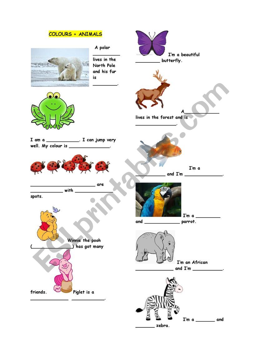 Colours + animals vocabulary worksheet