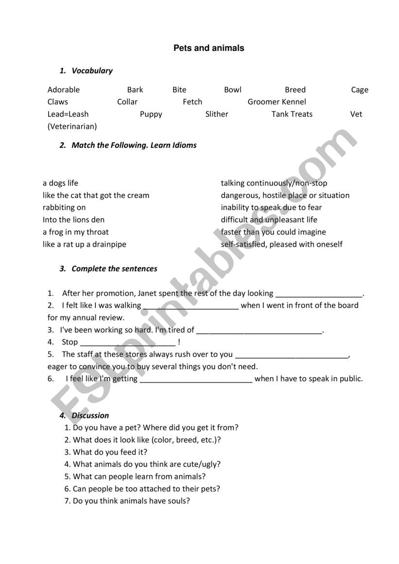 PETS AND ANIMALS worksheet