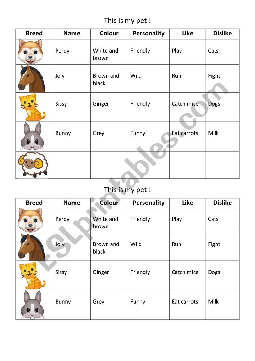 Let�s introduce your pet  worksheet