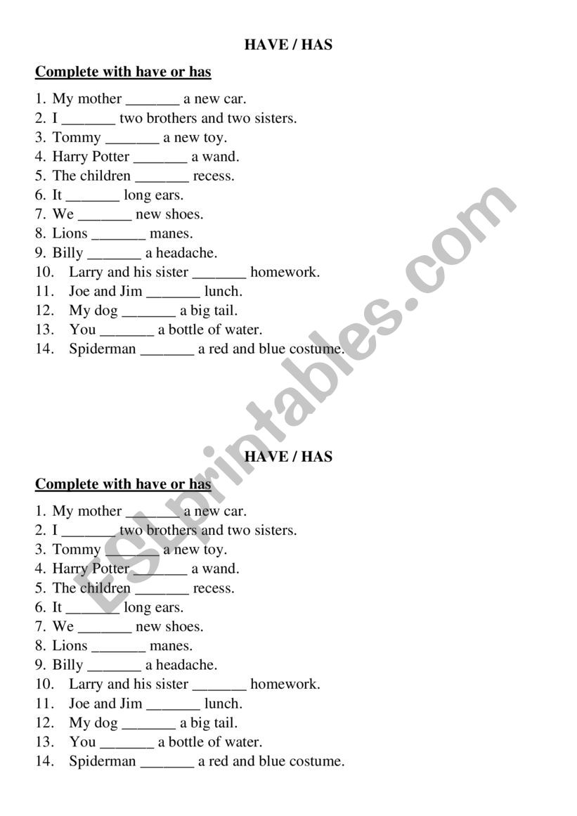 Have-has practice worksheet