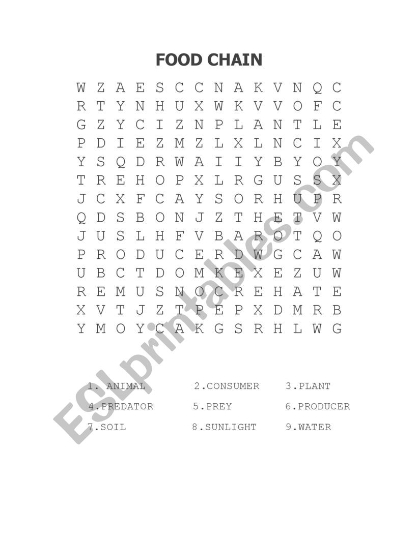 Food Chain Word Search ESL Worksheet By Stephbright