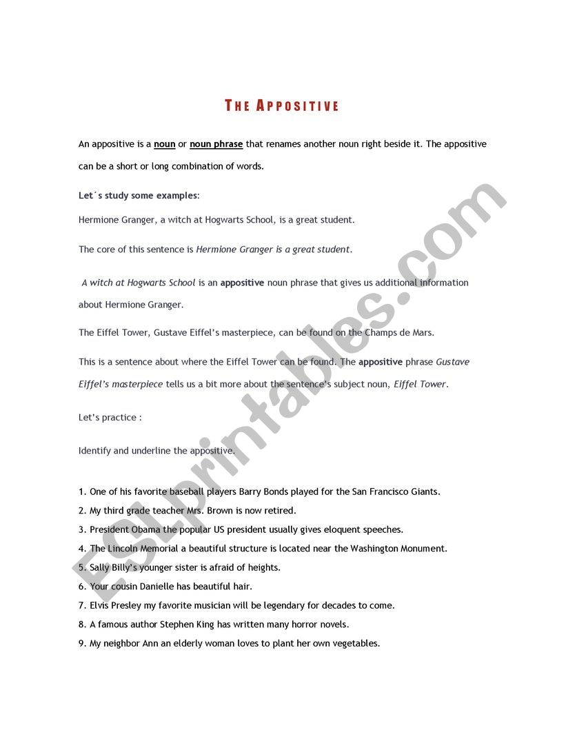 The appositive worksheet