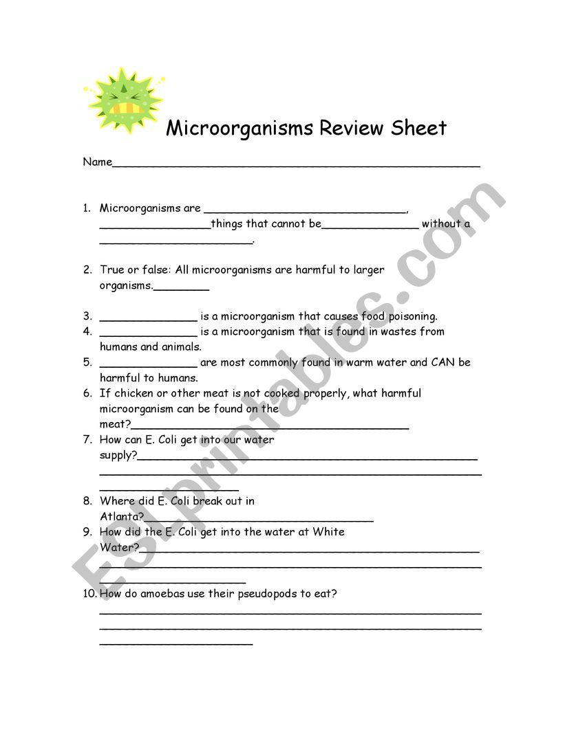 Microorganisms worksheet worksheet