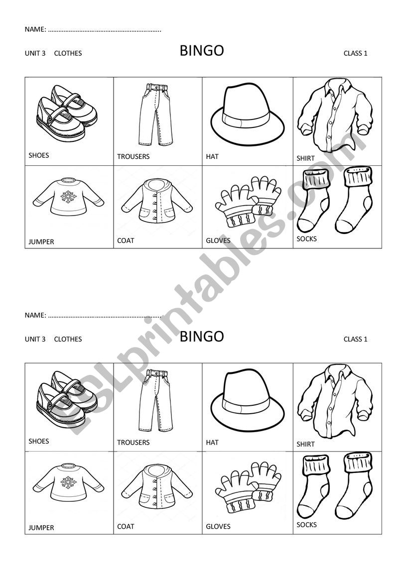 CLOTHES BINGO worksheet
