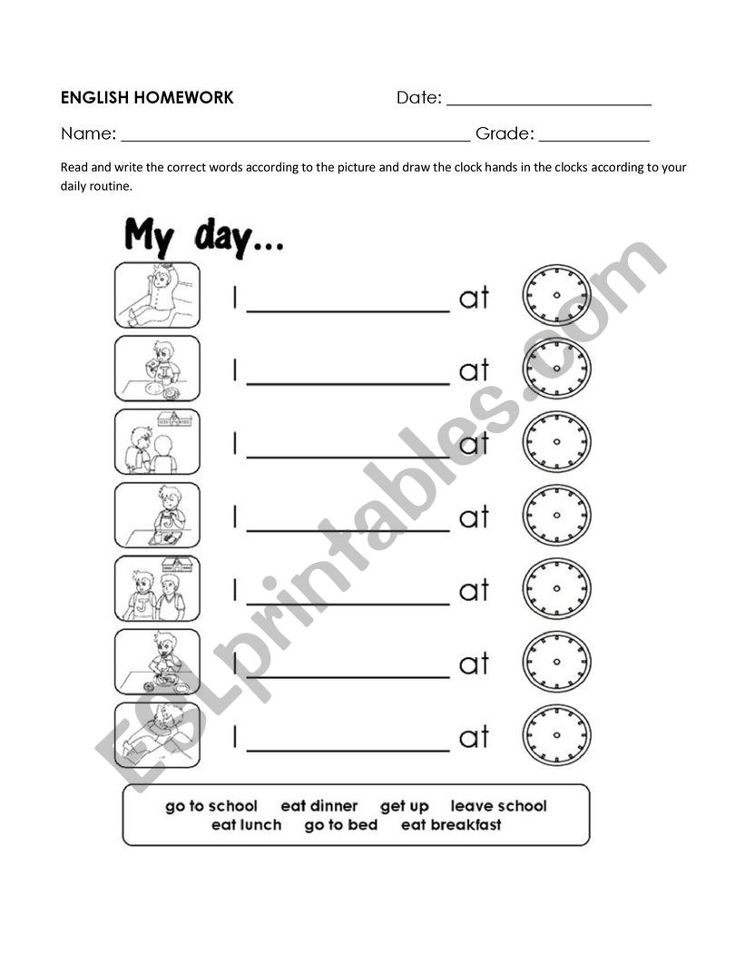 daily worksheet