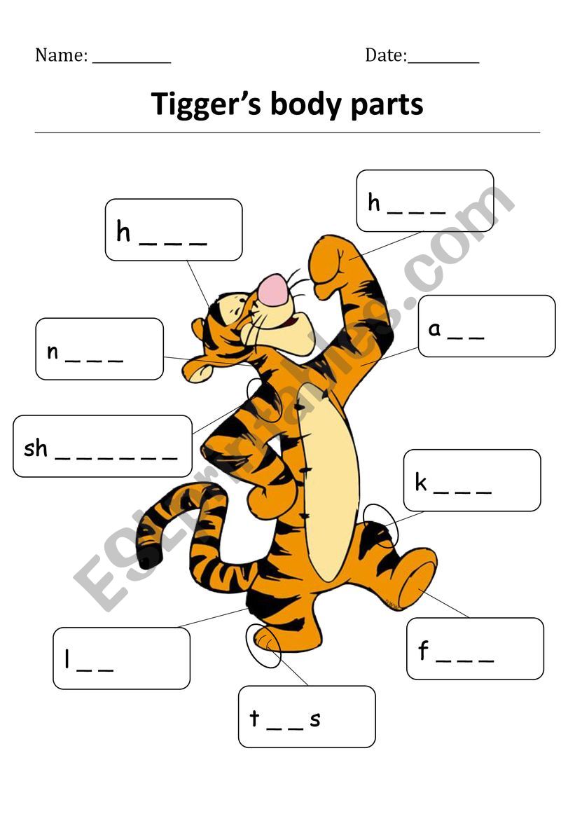 Tiggers body parts worksheet