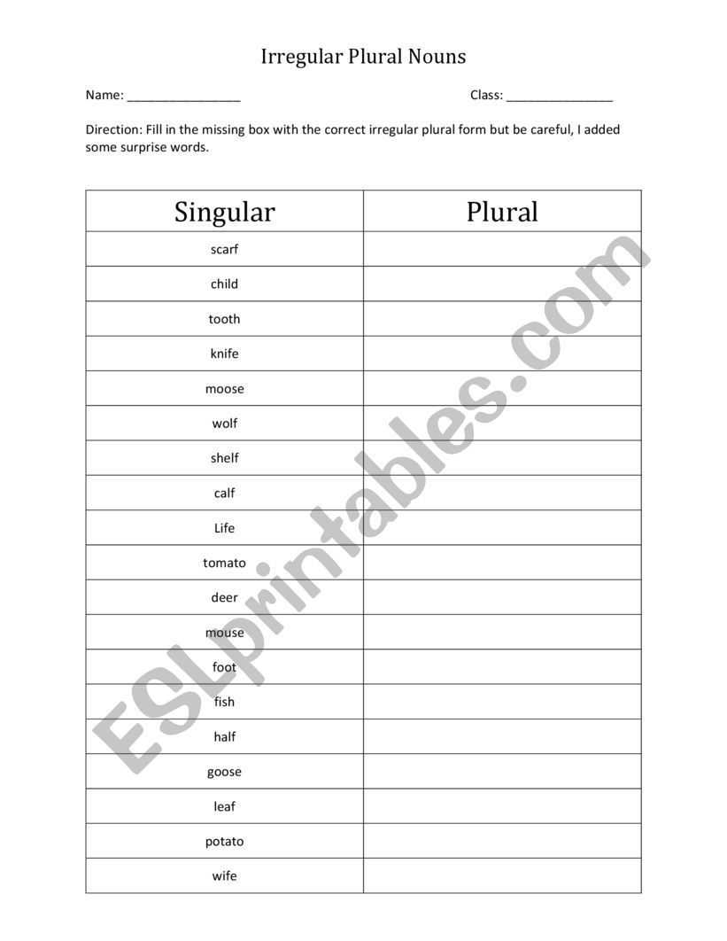 Irregular Plural Form Worksheet 