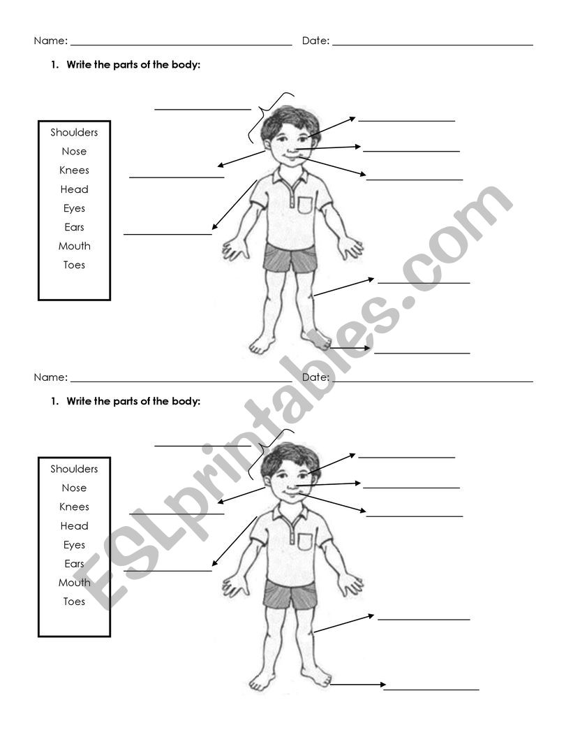 Body parts matching - ESL worksheet by Paola2378