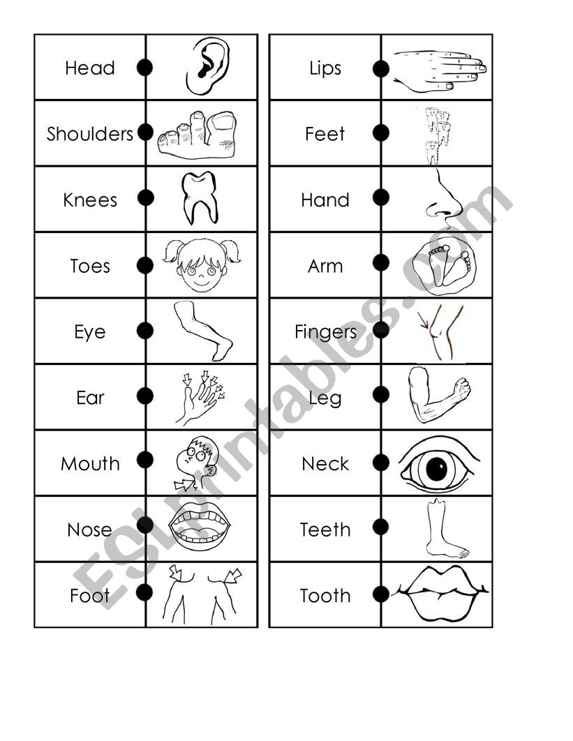 Body parts Domin worksheet