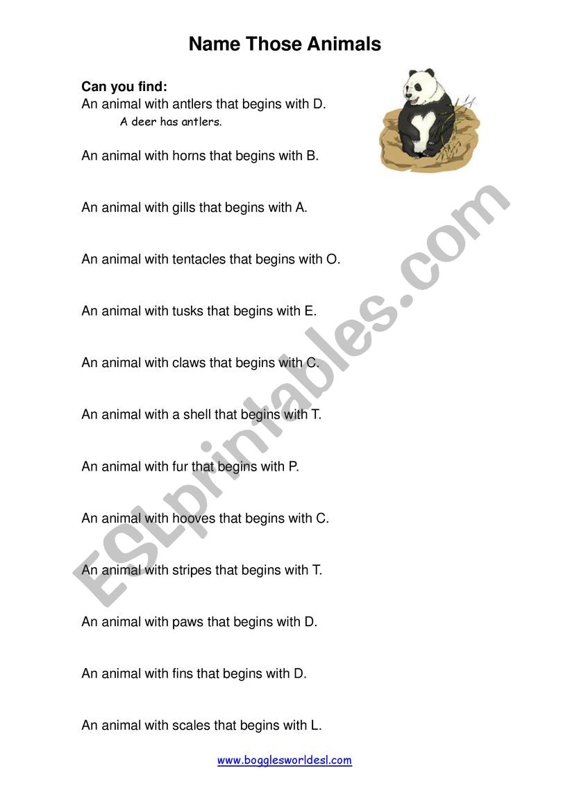 Animals worksheet