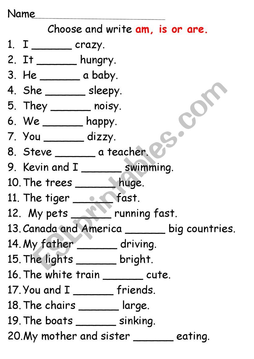do and does worksheet