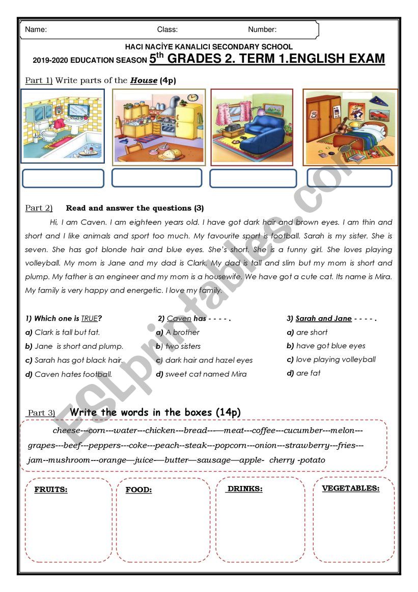 english exam for elementary students esl worksheet by ferdiferit 16