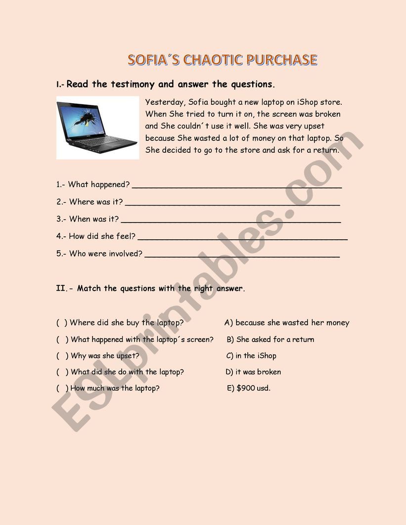 SOFIAS CHAOTIC PURCHASE worksheet